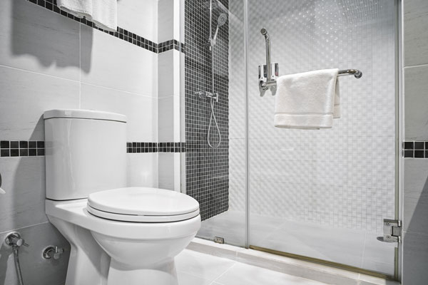 Toilet Installation Services